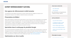 Desktop Screenshot of midoritech.com
